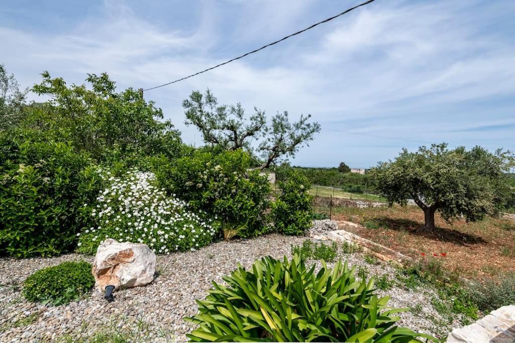 Villa Trullo Oasi Santo Stefano - private pool Castellana Grotte Esterno foto